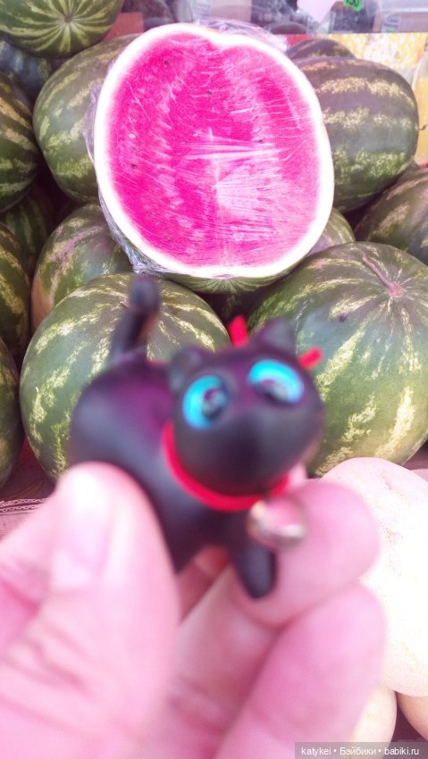 День чёрных котиков. Санни и Ко