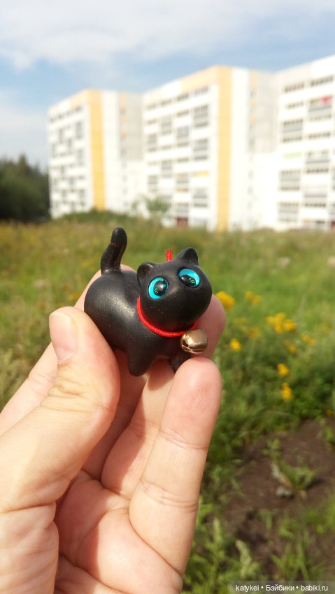 День чёрных котиков. Санни и Ко