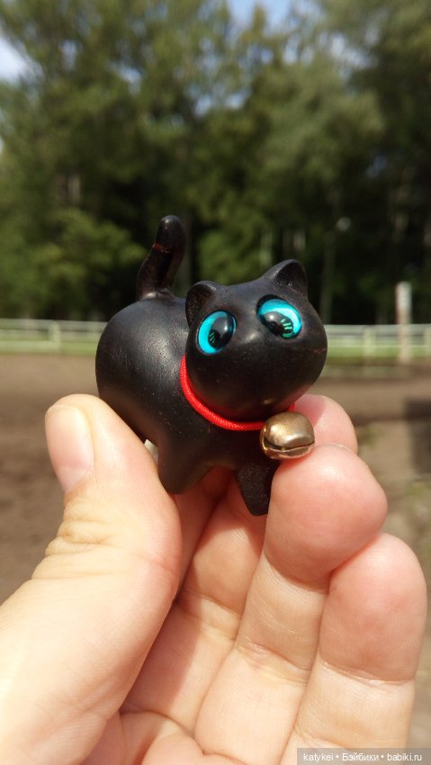 День чёрных котиков. Санни и Ко