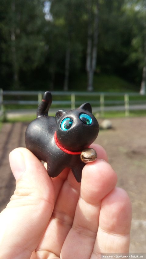 День чёрных котиков. Санни и Ко