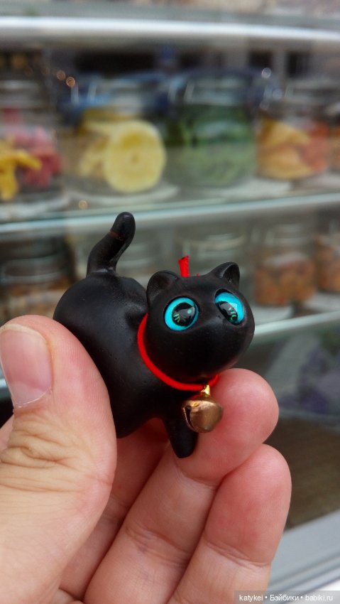 День чёрных котиков. Санни и Ко