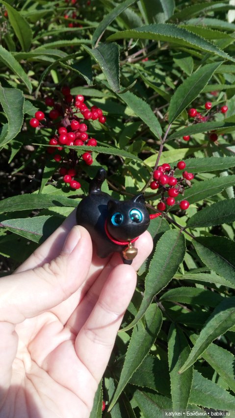 День чёрных котиков. Санни и Ко (фото 6)