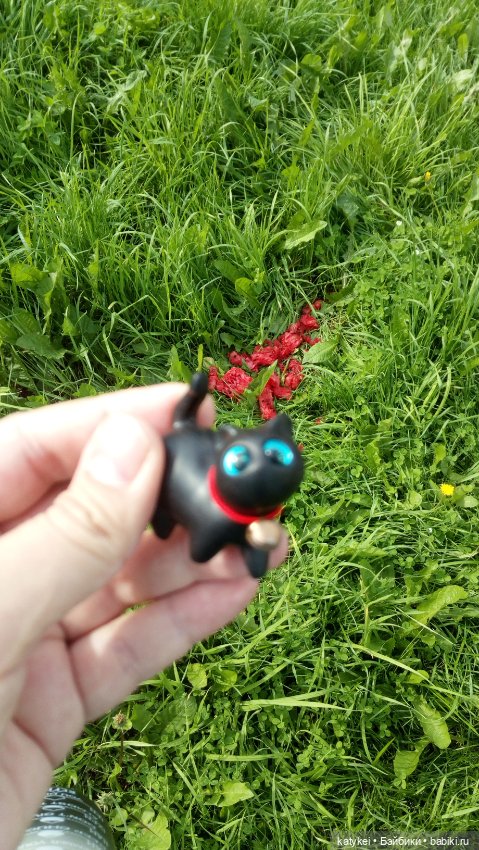 День чёрных котиков. Санни и Ко