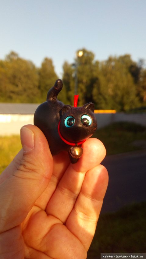 День чёрных котиков. Санни и Ко (фото 9)