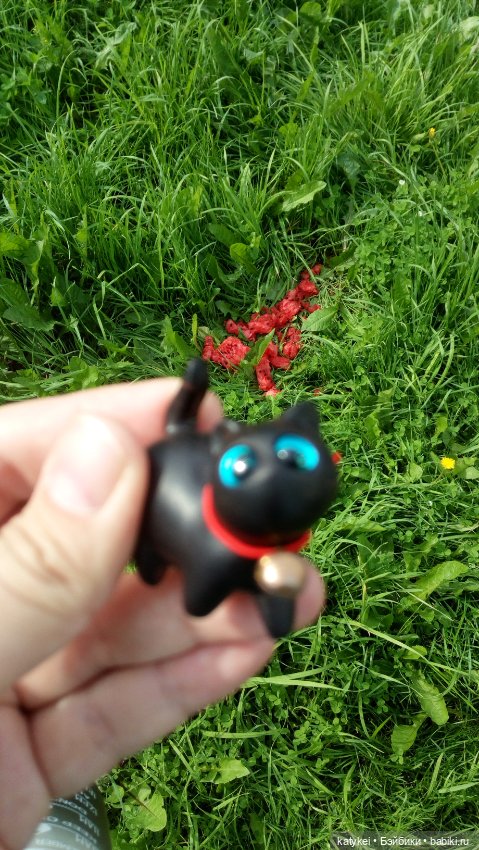 День чёрных котиков. Санни и Ко