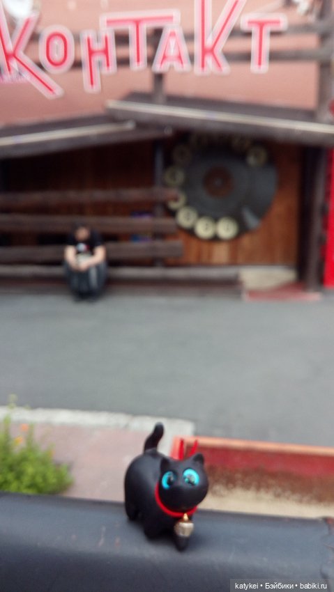 День чёрных котиков. Санни и Ко