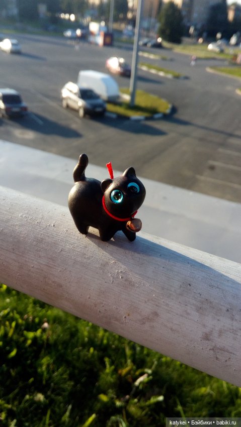 День чёрных котиков. Санни и Ко (фото 10)