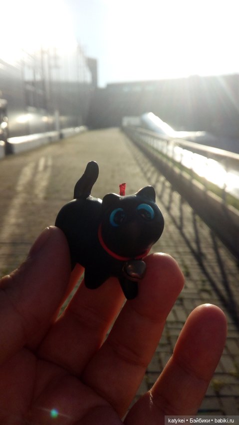 День чёрных котиков. Санни и Ко (фото 8)