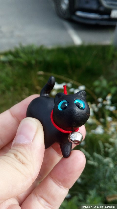 День чёрных котиков. Санни и Ко