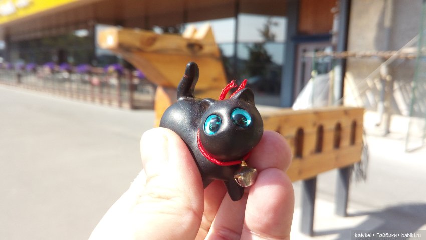 День чёрных котиков. Санни и Ко