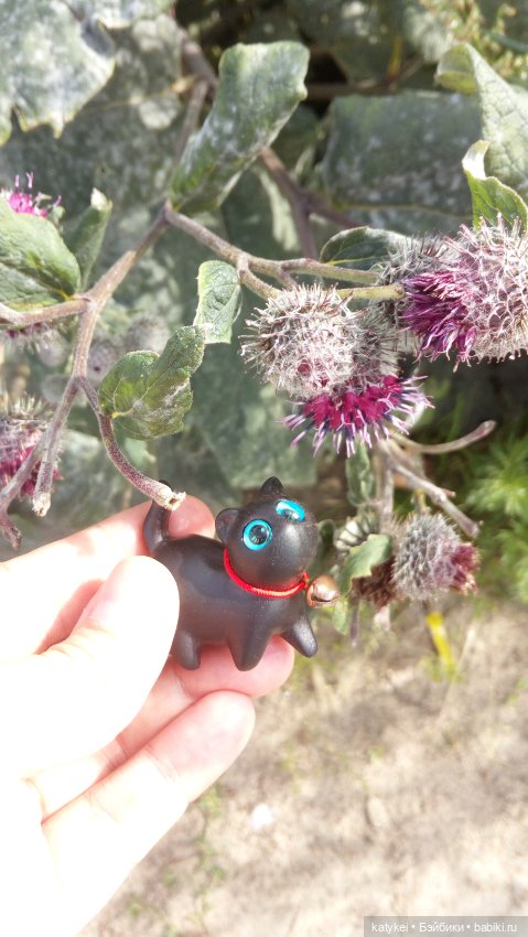 День чёрных котиков. Санни и Ко