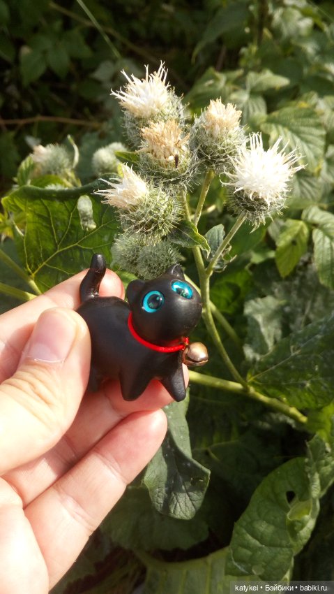 День чёрных котиков. Санни и Ко