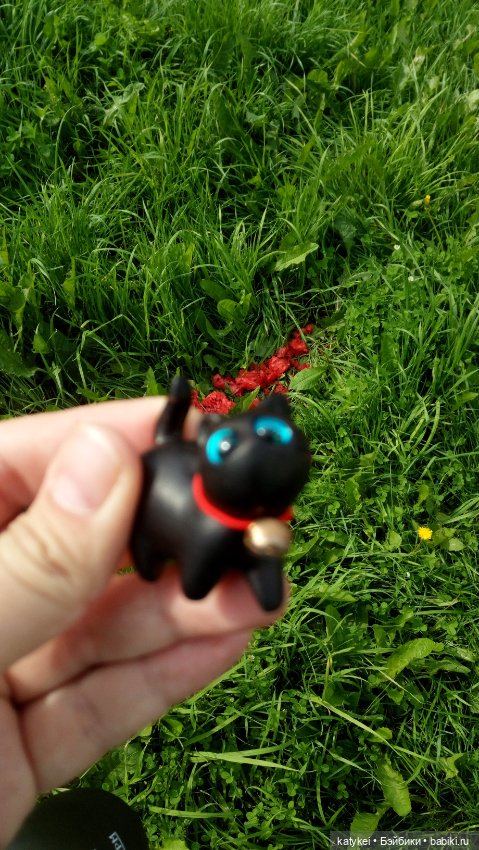 День чёрных котиков. Санни и Ко