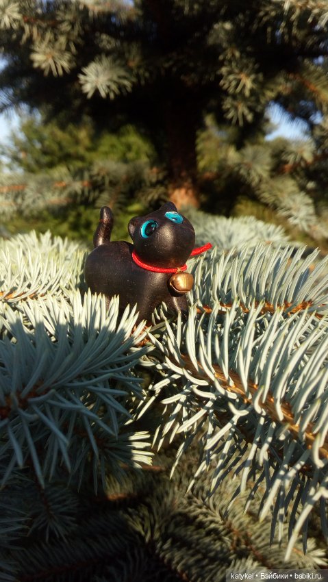 День чёрных котиков. Санни и Ко (фото 7)