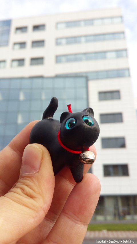 День чёрных котиков. Санни и Ко