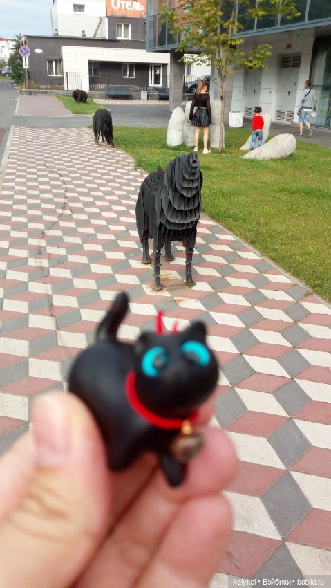 День чёрных котиков. Санни и Ко