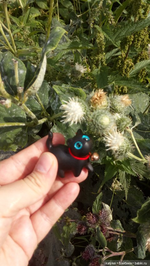 День чёрных котиков. Санни и Ко