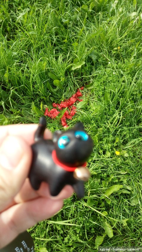 День чёрных котиков. Санни и Ко