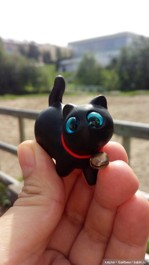 День чёрных котиков. Санни и Ко