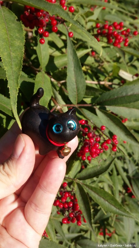 День чёрных котиков. Санни и Ко (фото 4)