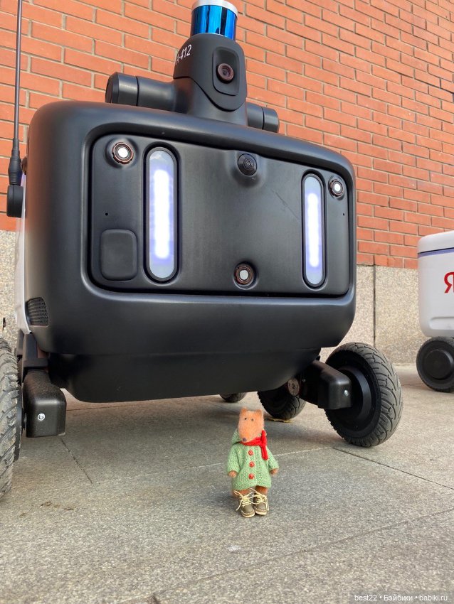 Золотая осень Луки — Авторские мишки Тедди и друзья: фото