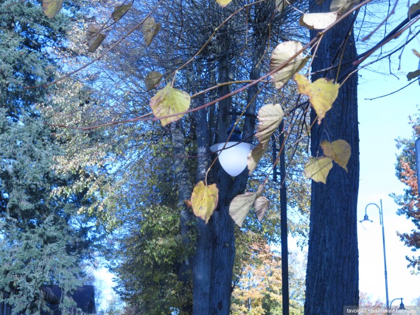 Балтика на Самайн 2023. Светлогорск