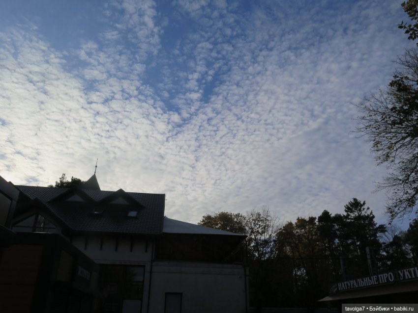 Балтика на Самайн 2023. Светлогорск (фото 8)