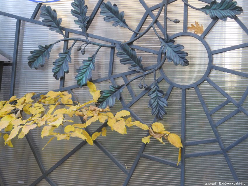 Балтика на Самайн 2023. Светлогорск