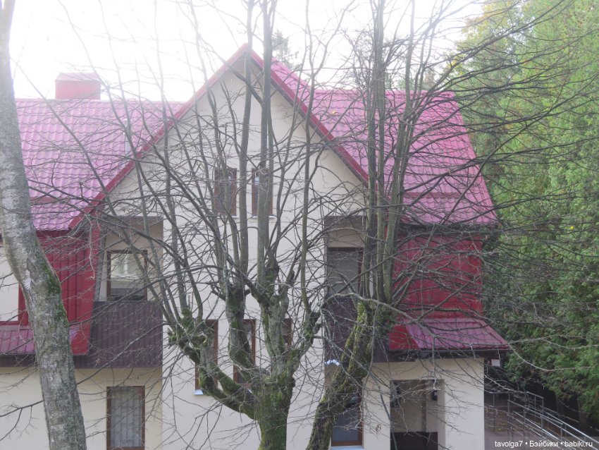 Балтика на Самайн 2023. Светлогорск (фото 3)