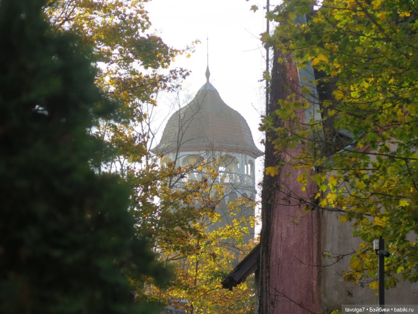 Балтика на Самайн 2023. Светлогорск