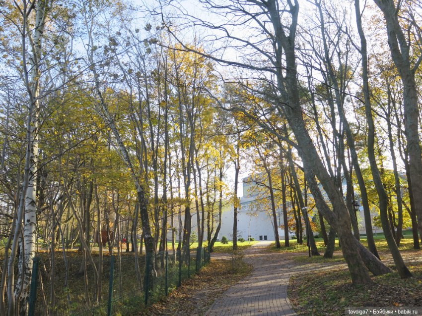 Балтика на Самайн 2023. Светлогорск