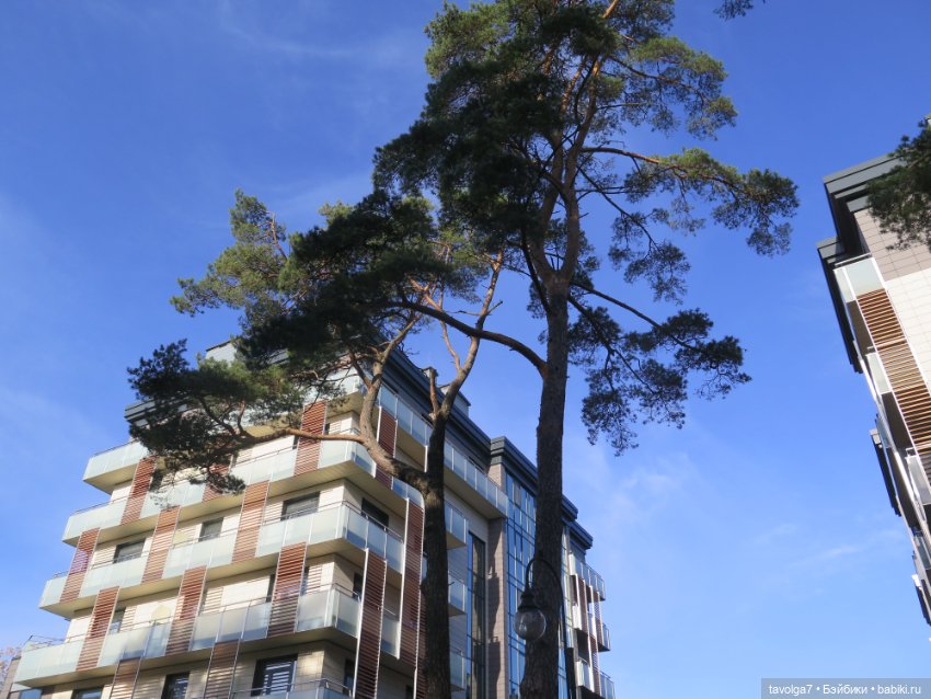 Балтика на Самайн 2023. Светлогорск