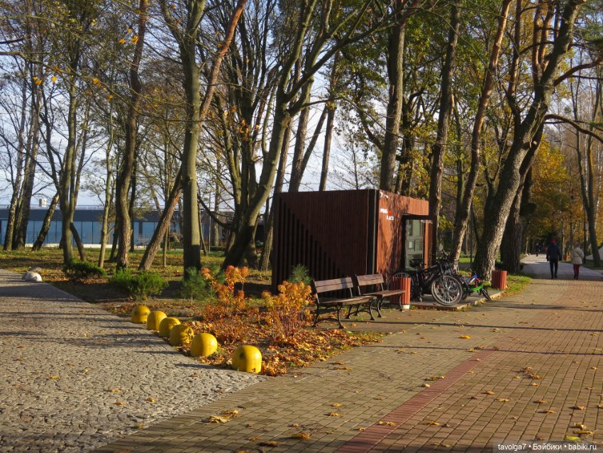 Балтика на Самайн 2023. Светлогорск