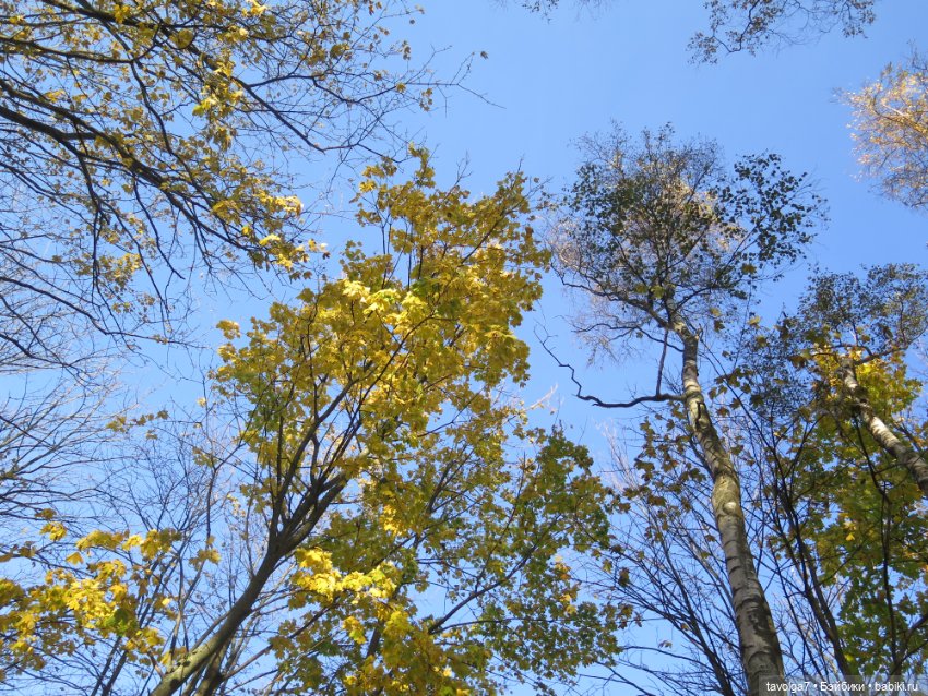 Балтика на Самайн 2023. Светлогорск