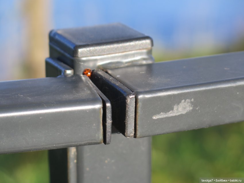 Балтика на Самайн 2023. Светлогорск