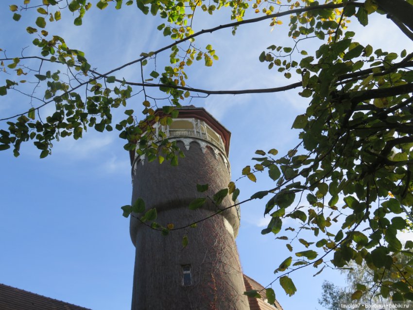 Балтика на Самайн 2023. Светлогорск