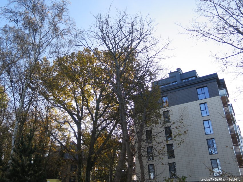 Балтика на Самайн 2023. Светлогорск