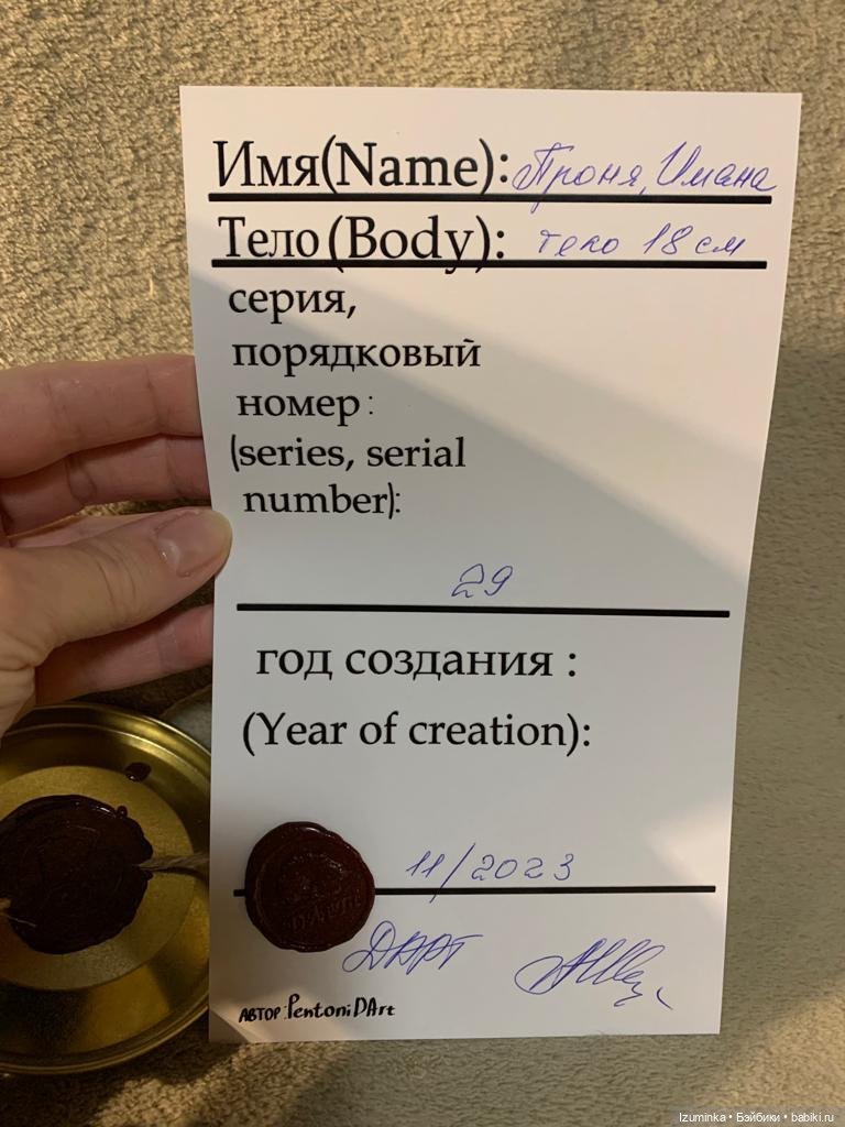 Прасковья дома - Распаковка Проньки Анны Шиткиной (фото 4)