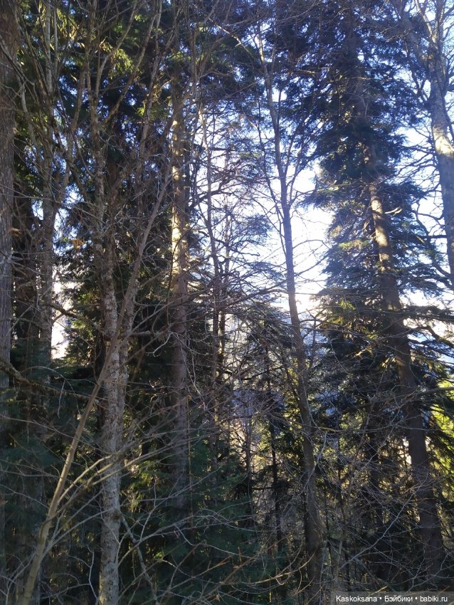 Экскурсия Джи Ен: Домбай — Туризм и путешествия: фотоотчеты из поездок