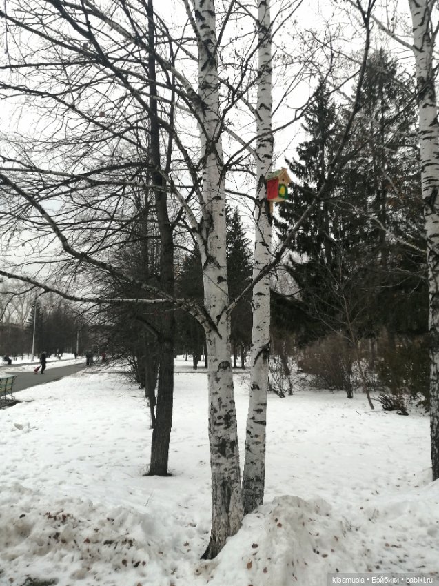 Прогулка в не очень солнечный день