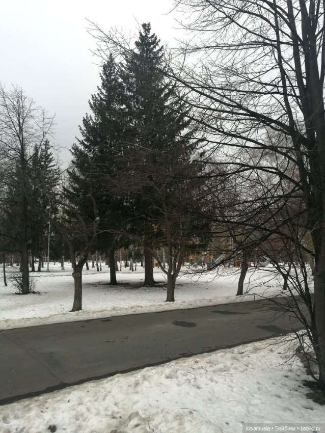 Прогулка в не очень солнечный день