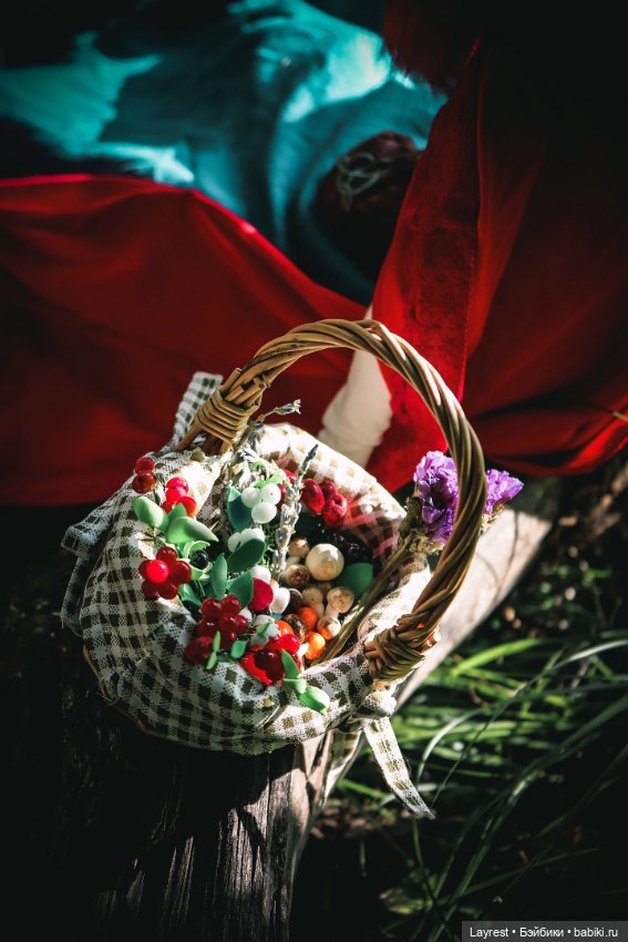 По грибы и ягоды — Фотоистории с куклами BJD (БЖД): сериалы