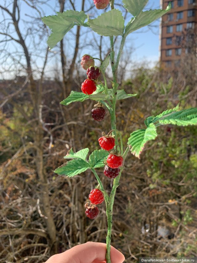 Ветка малины со светящимися ягодами