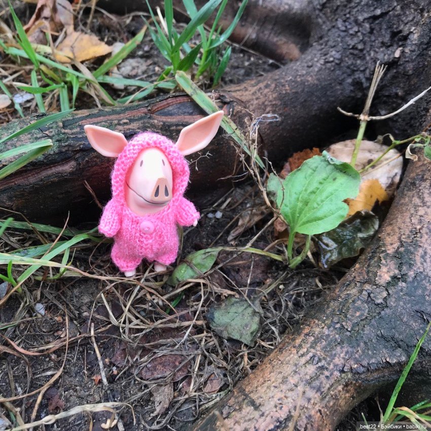 🍂 Осень для Оливии — Игровые куклы разных производителей (Разное): редкие бренды (фото 7)