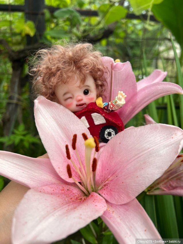 Моя коллекция — Домашние коллекции кукол: фото собраний