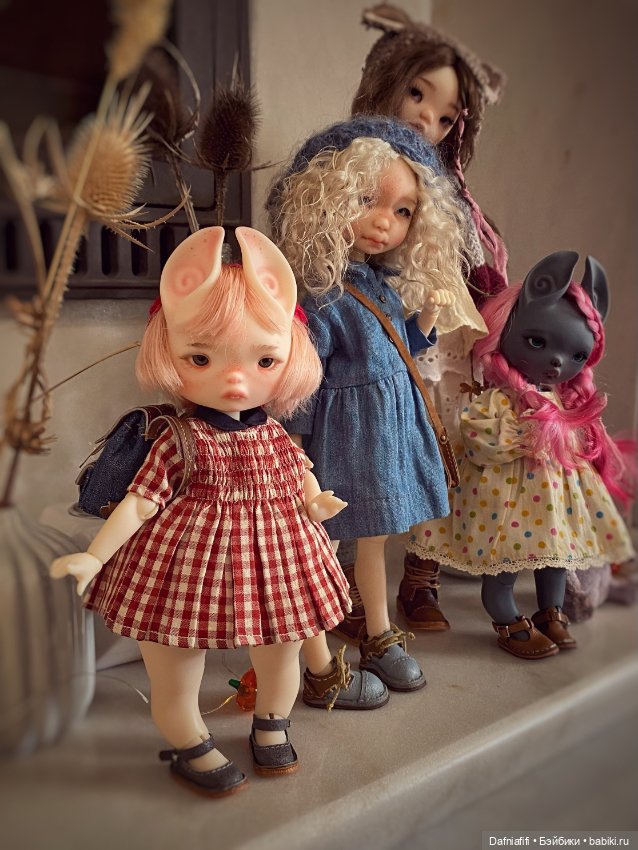 Мои толстопопые кривоножки (фото 6)