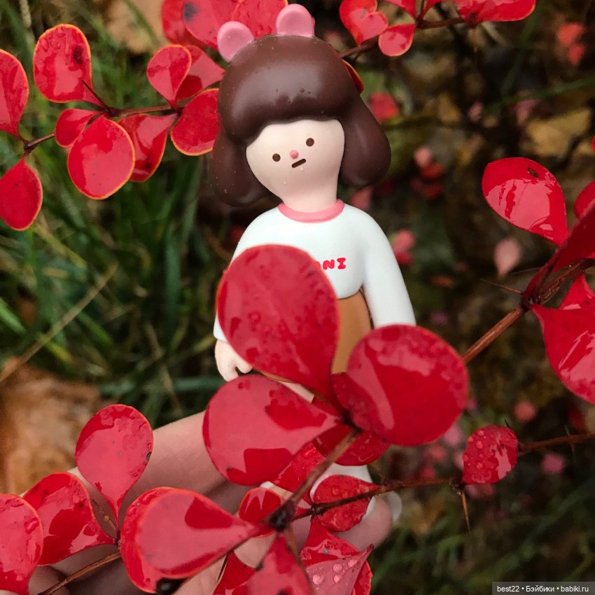 Октябрьские фото Kwoni — Коллекционные фигурки (разное): животные