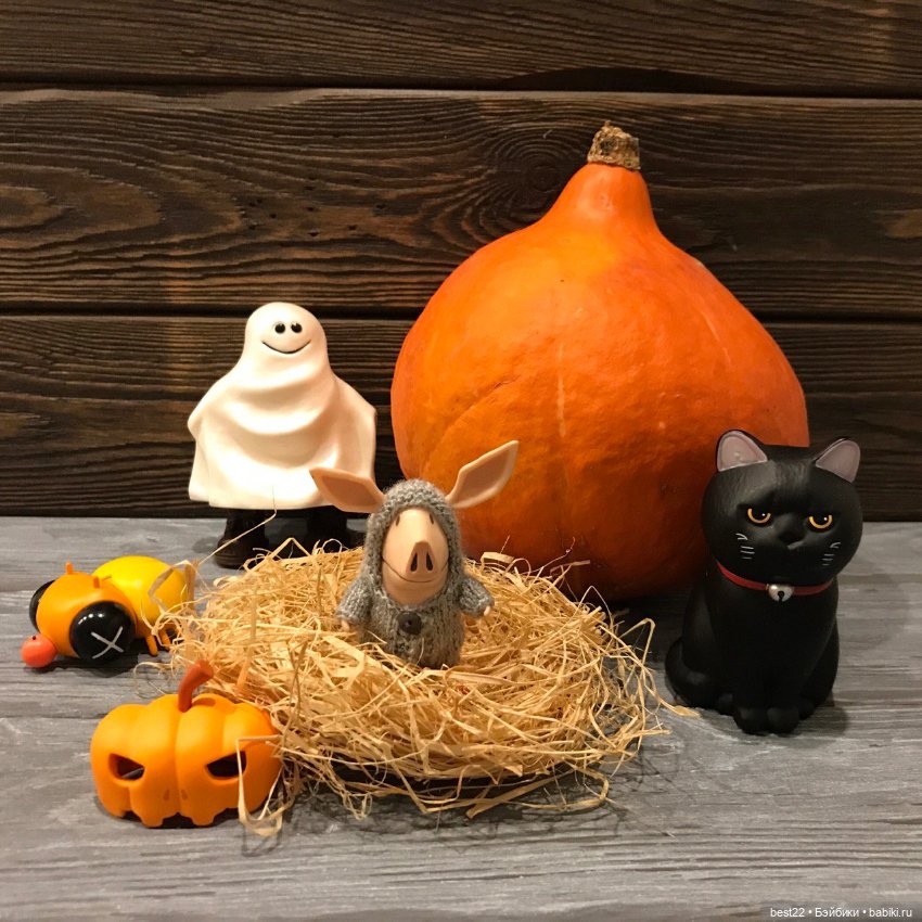 🍂 Осень для Оливии — Игровые куклы разных производителей (Разное): редкие бренды (фото 9)