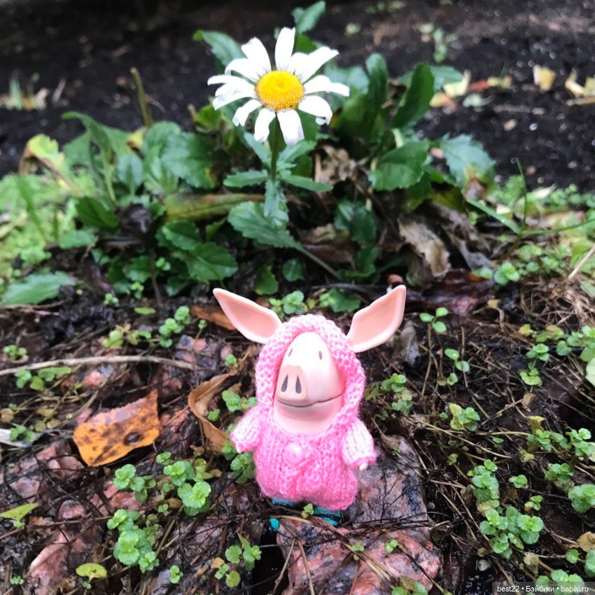 🍂 Осень для Оливии — Игровые куклы разных производителей (Разное): редкие бренды