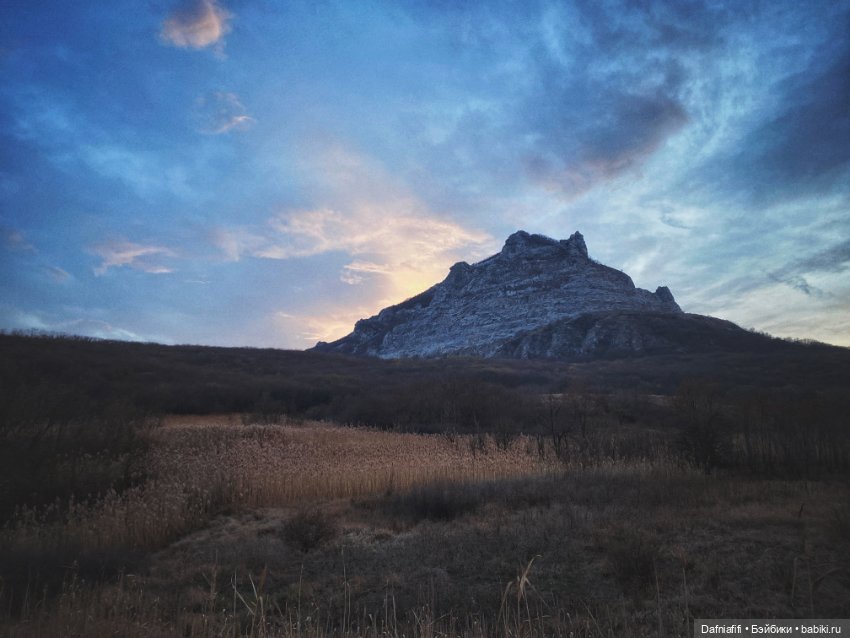 Моночка — Куклы Dollzone (Доллзон): BJD (БЖД)